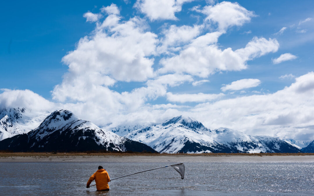 You’ll Never Go Home Empty Handed with Silver Salmon Fishing in Alaska